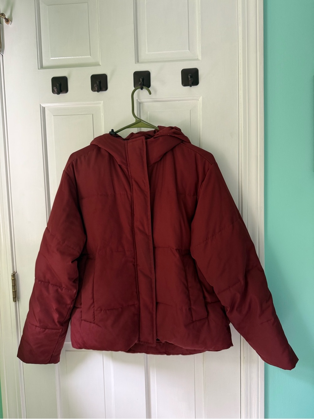 Everlane Renew Hooded Puffer Jacket in Brick Red Size Small